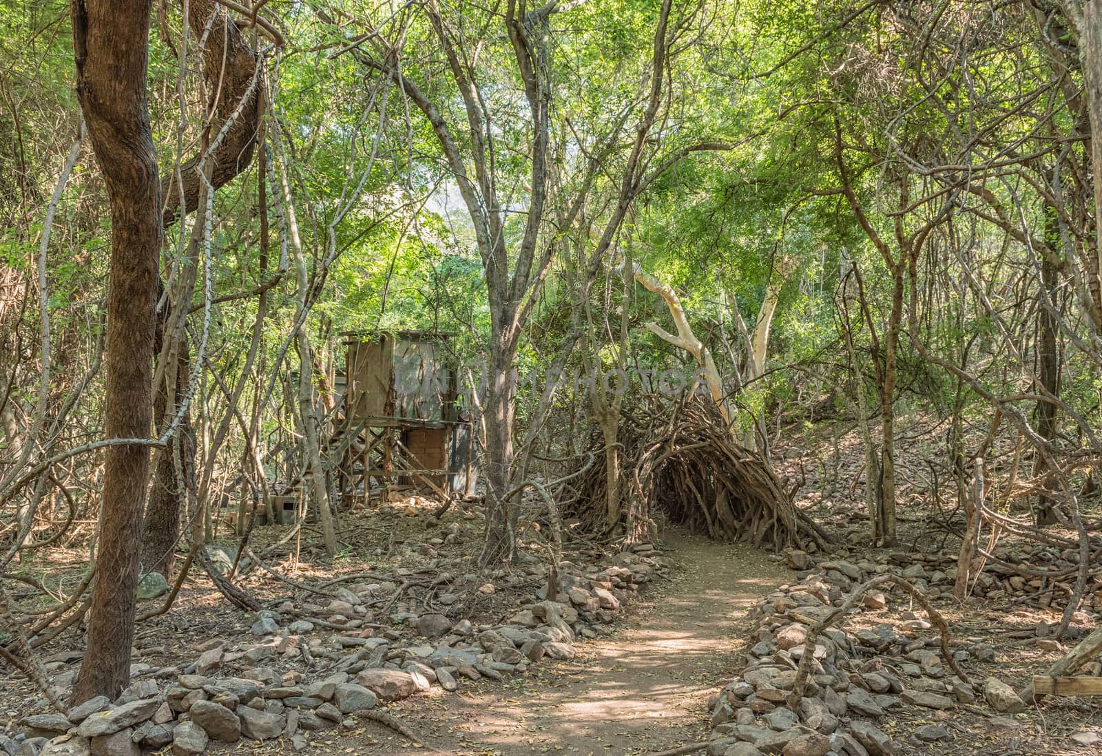 Wooden structures on the waterfall trail in the Blyde River Canyon