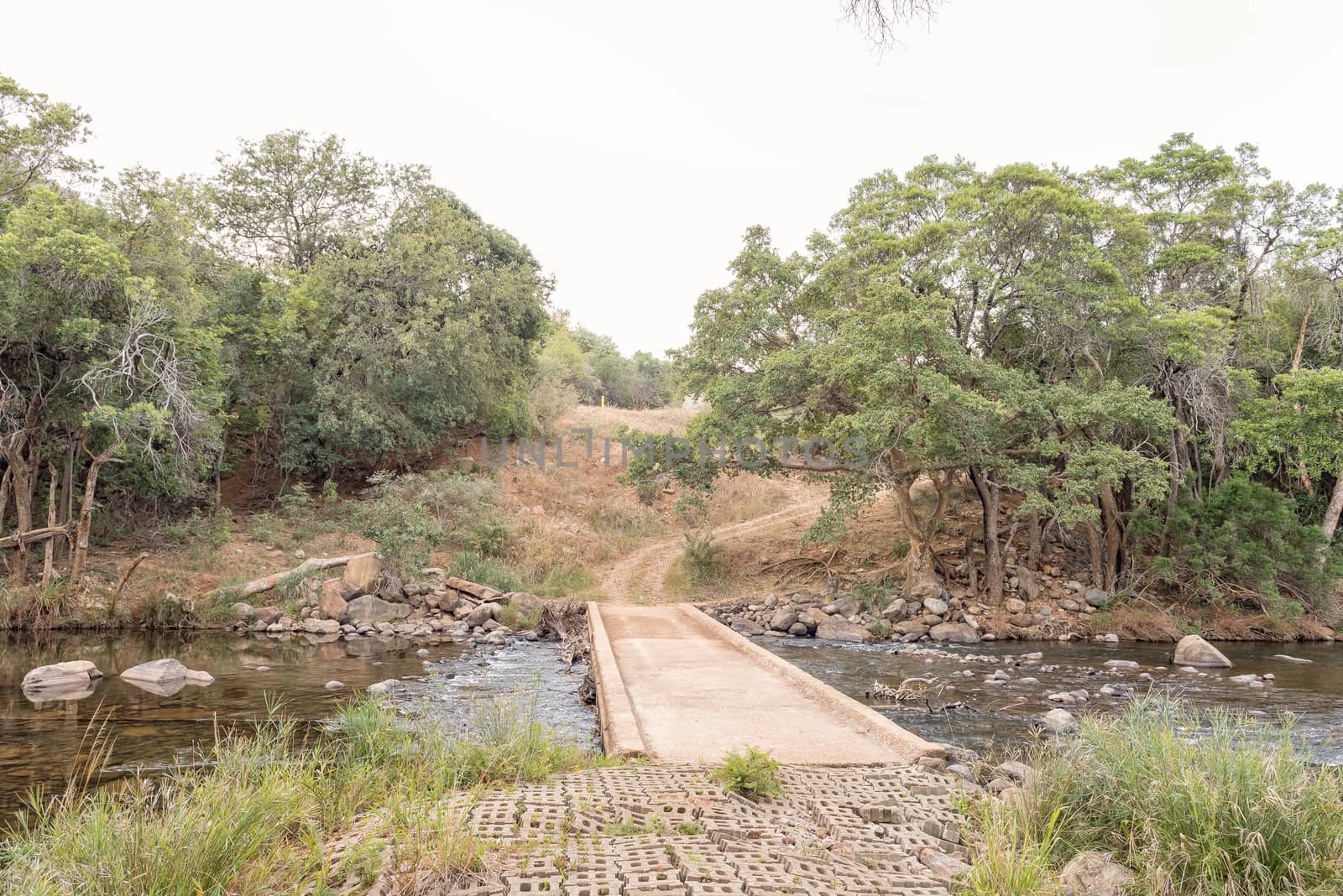 Blyde River on the Bushpig trail at Swadini by dpreezg