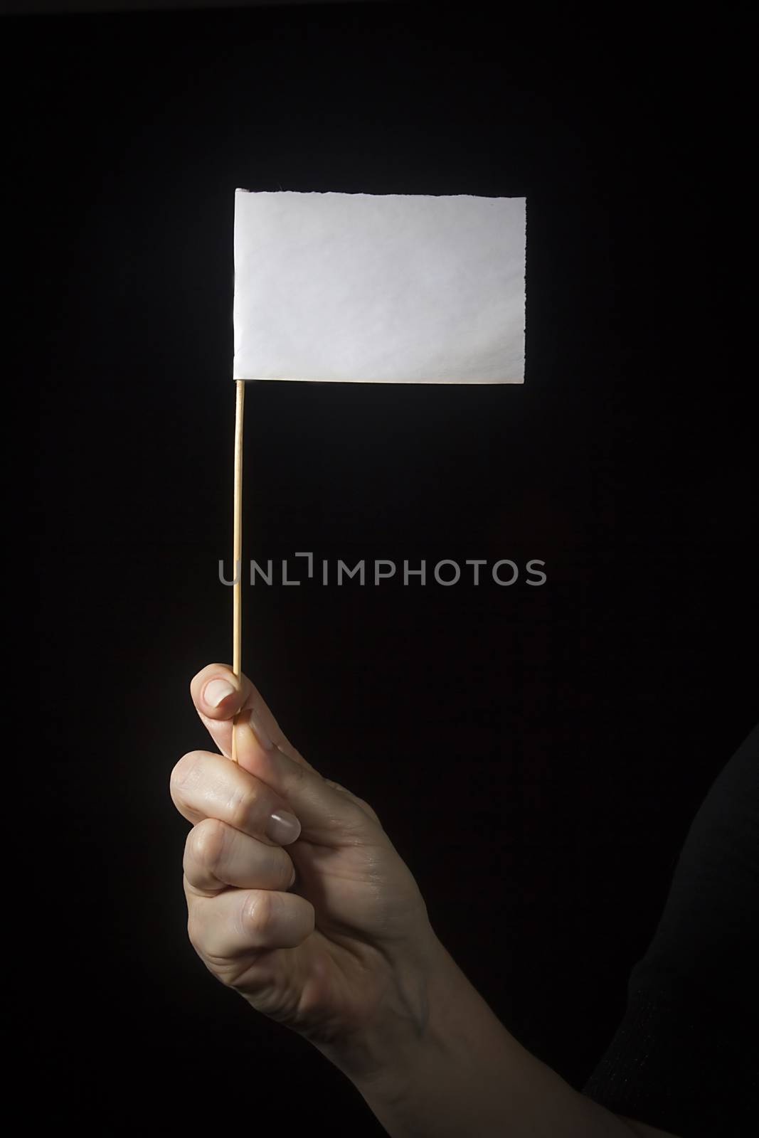 Female hand with a white flag on a black background