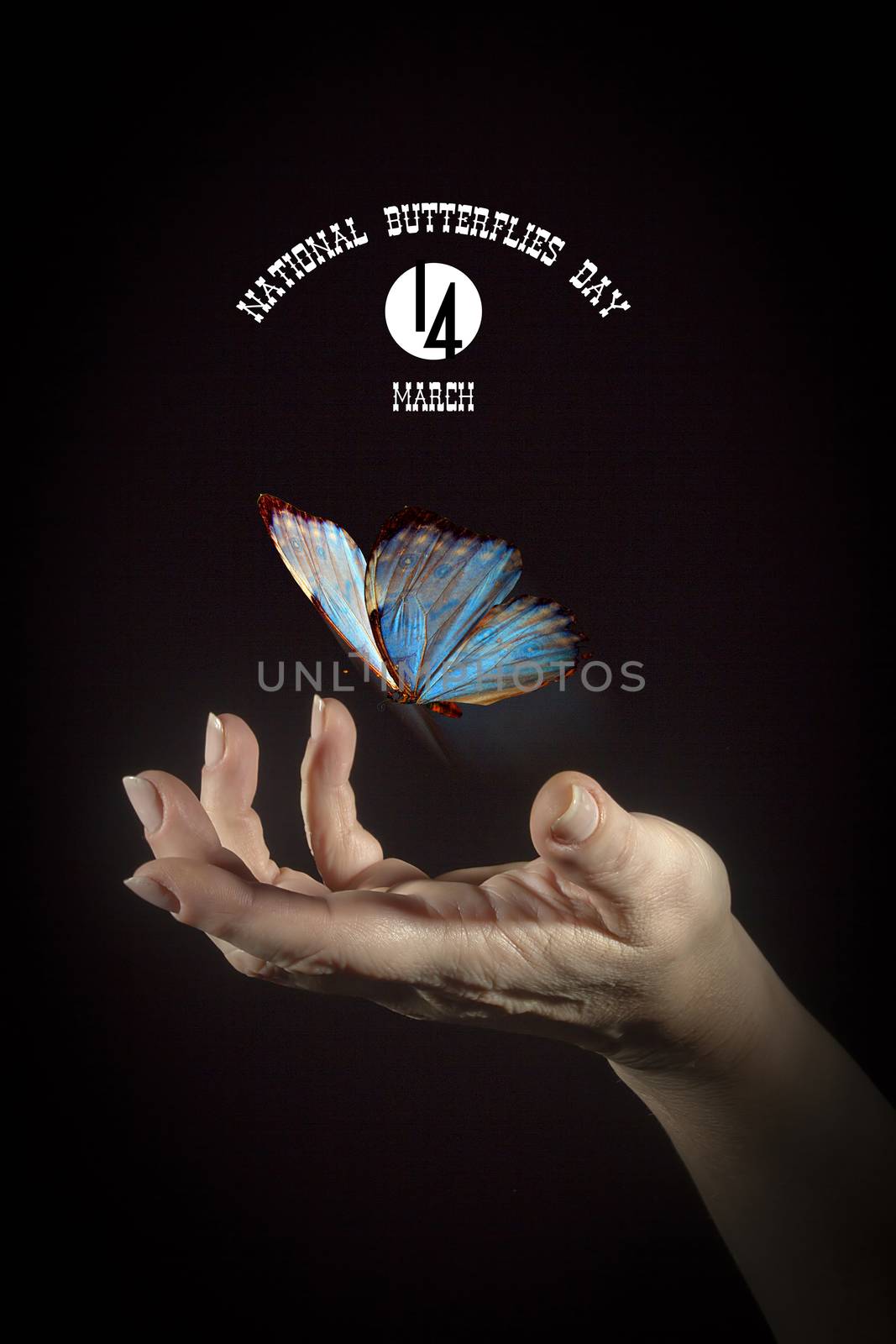 National Butterflies Day by VIPDesignUSA