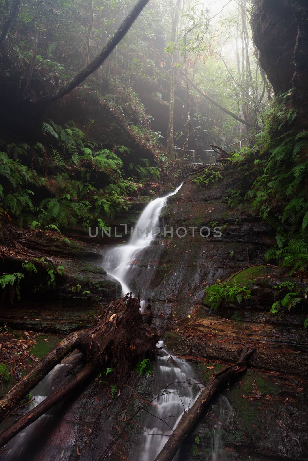 Mountain stream and waterfall in misty Blue Mountains