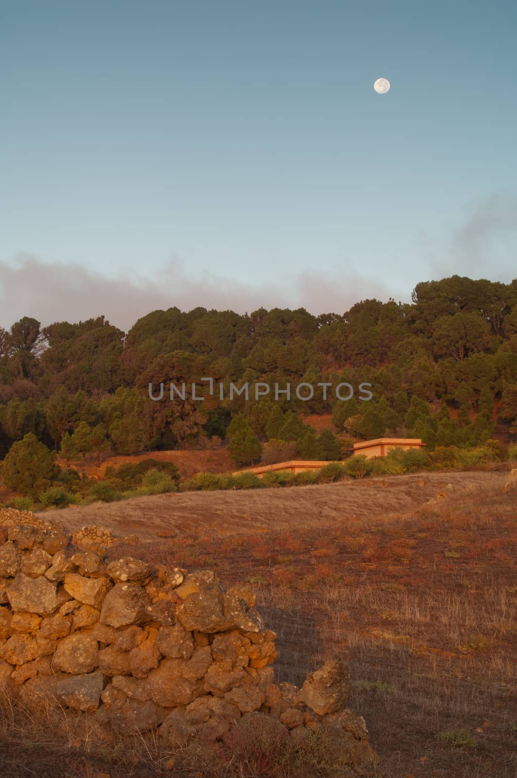 Rural landscape at dawn. Valverde. El Hierro. Canary Islands. Spain.