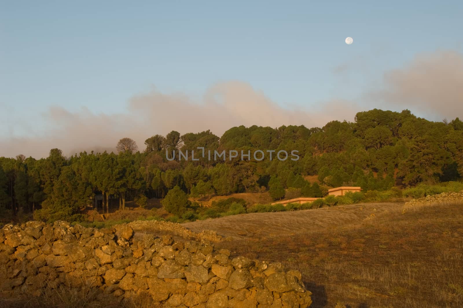 Rural landscape at dawn. Valverde. El Hierro. Canary Islands. Spain.