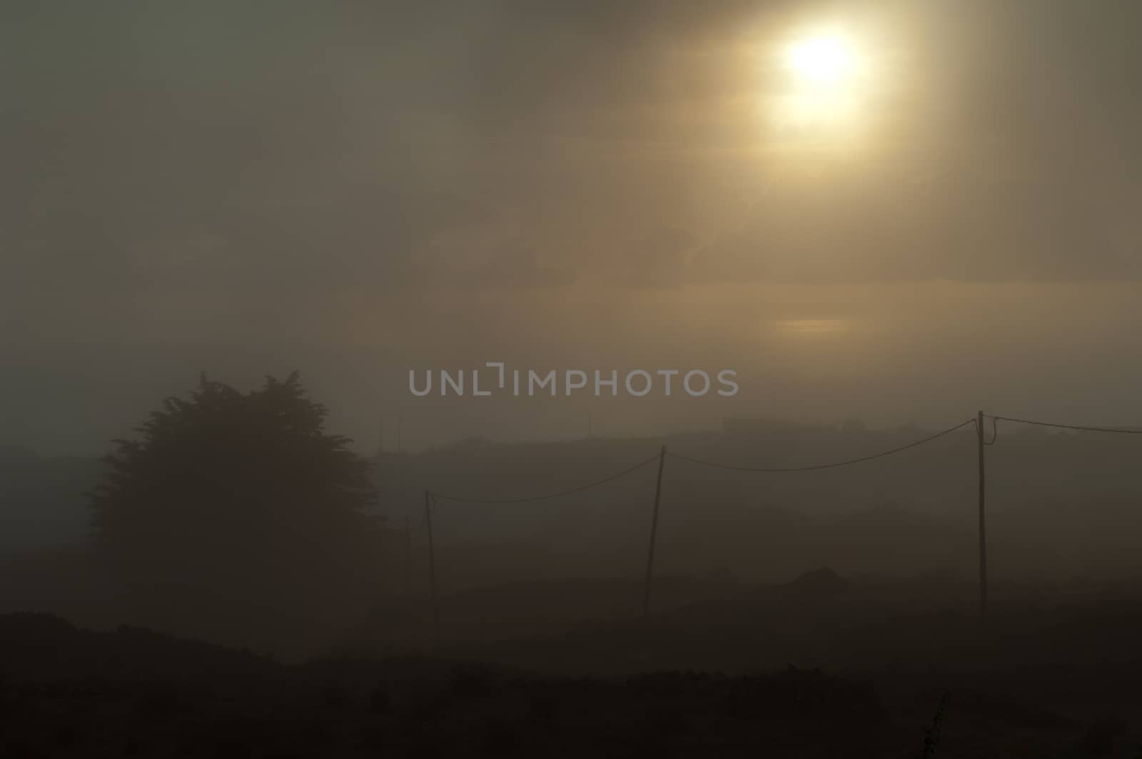 Landscape against the light in the fog. Valverde. Hierro. Canary Islands. Spain.