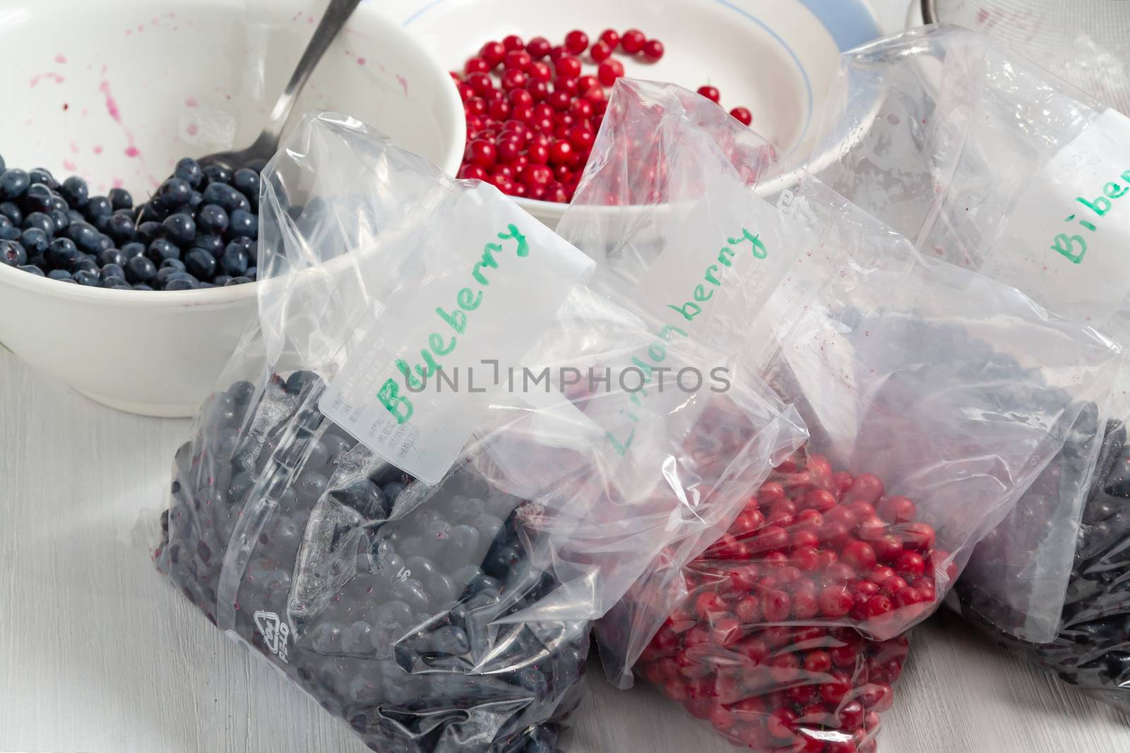 Berries laid out on a bags and prepared for freezing and storage by galsand