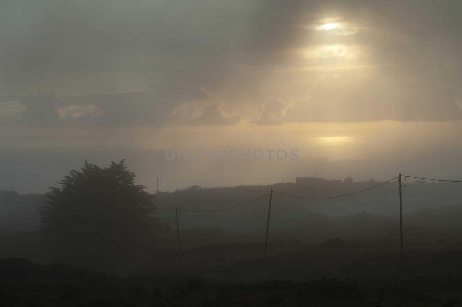 Landscape against the light in the fog. by VictorSuarez