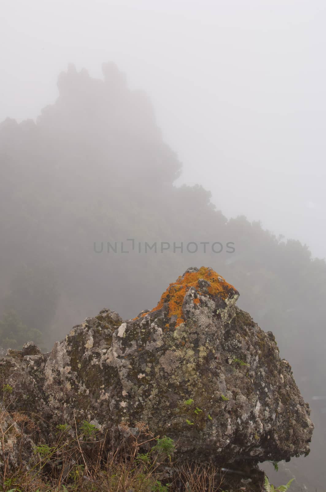 Rock in the fog. Valverde. El Hierro. Canary Islands. Spain.