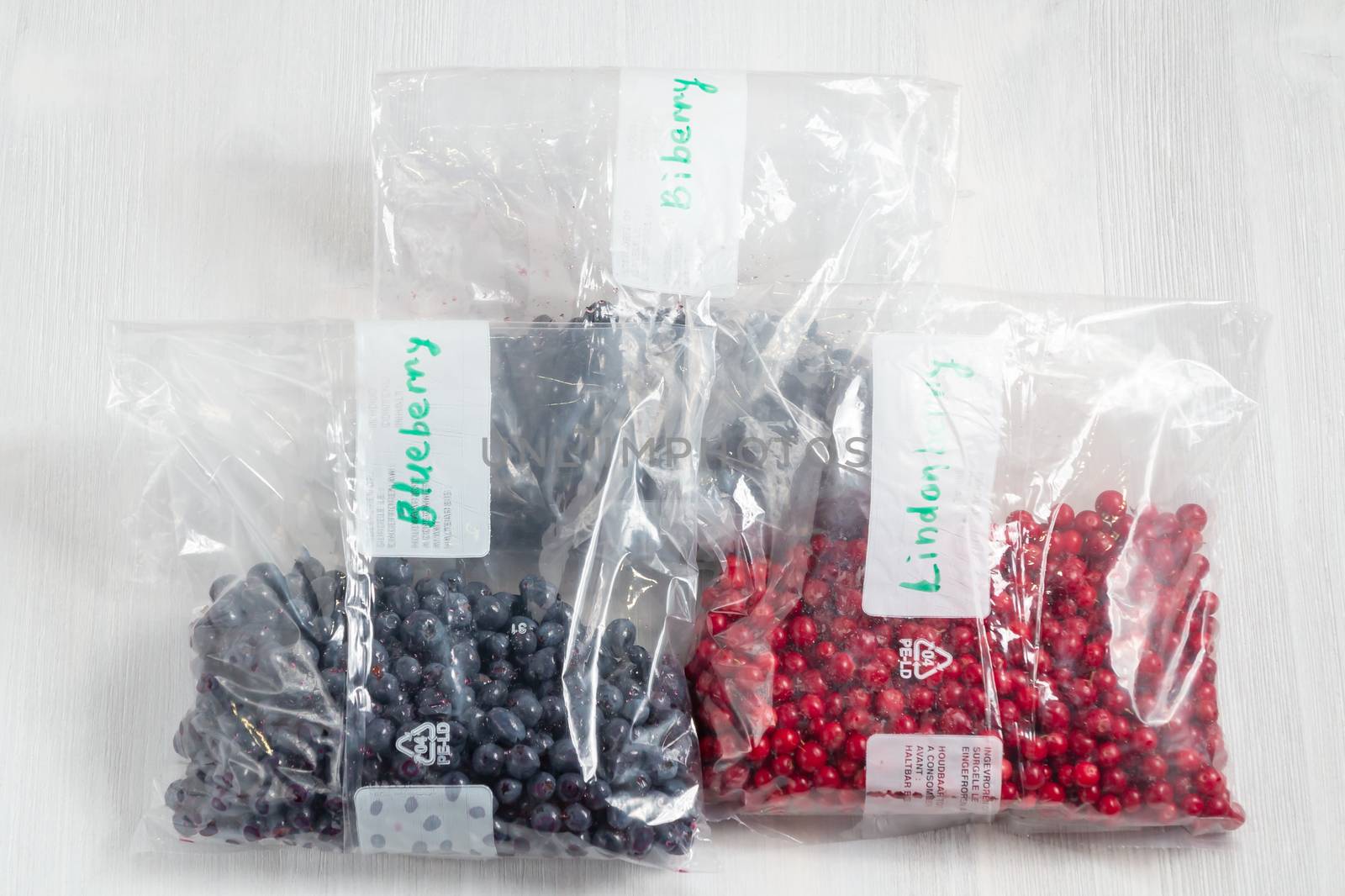 Berries laid out on a bags and prepared for freezing and storage, top view.