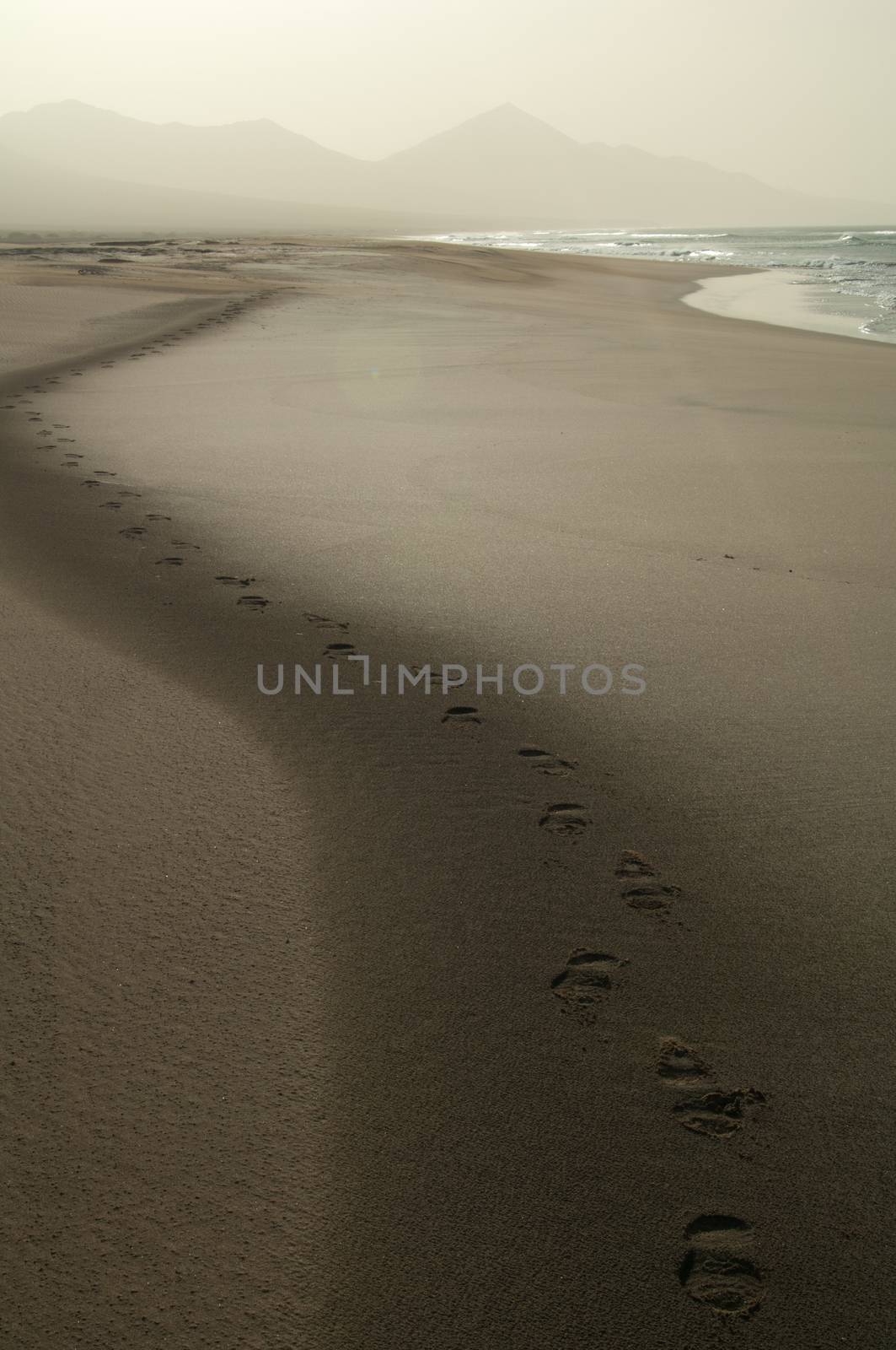 Footsteps. Jandia Natural Park. Fuerteventura. Canary Islands. Spain.