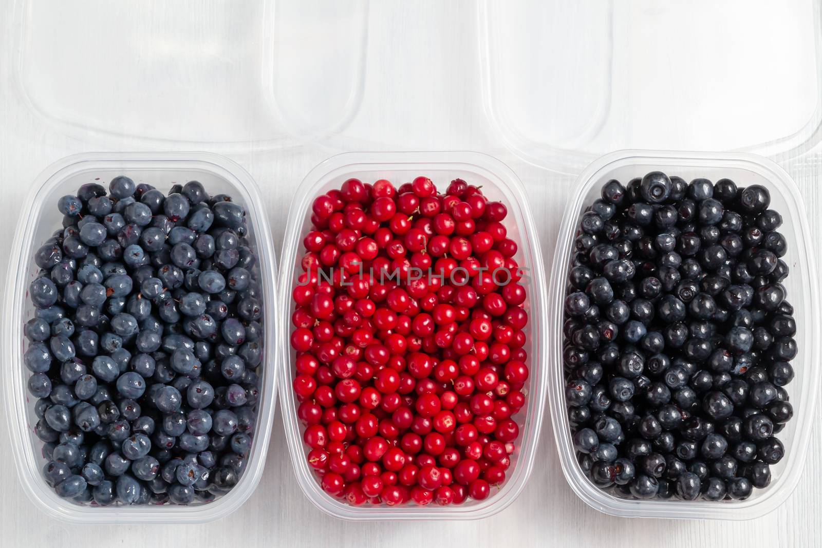 Berries laid out in containers and prepared for freezing and storage, top view.