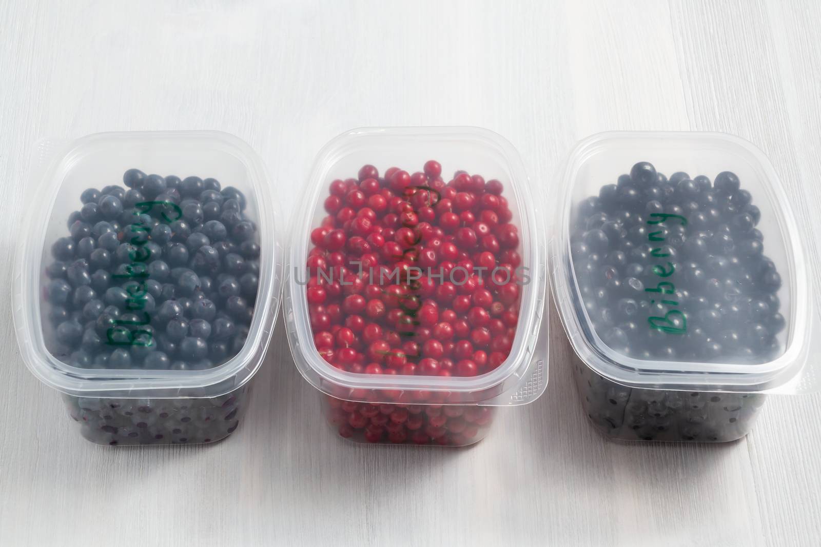 Berries laid out in containers and prepared for freezing and storage.