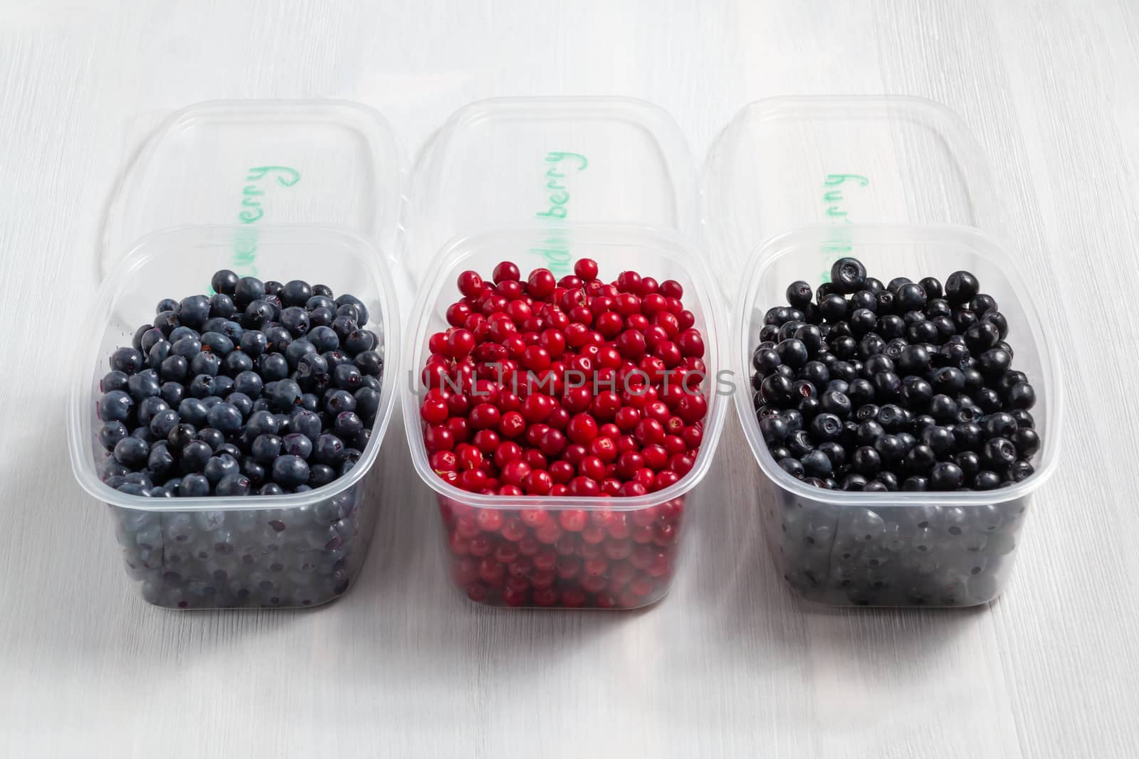 Berries laid out in containers, signed with a marker and prepared for freezing and storage.