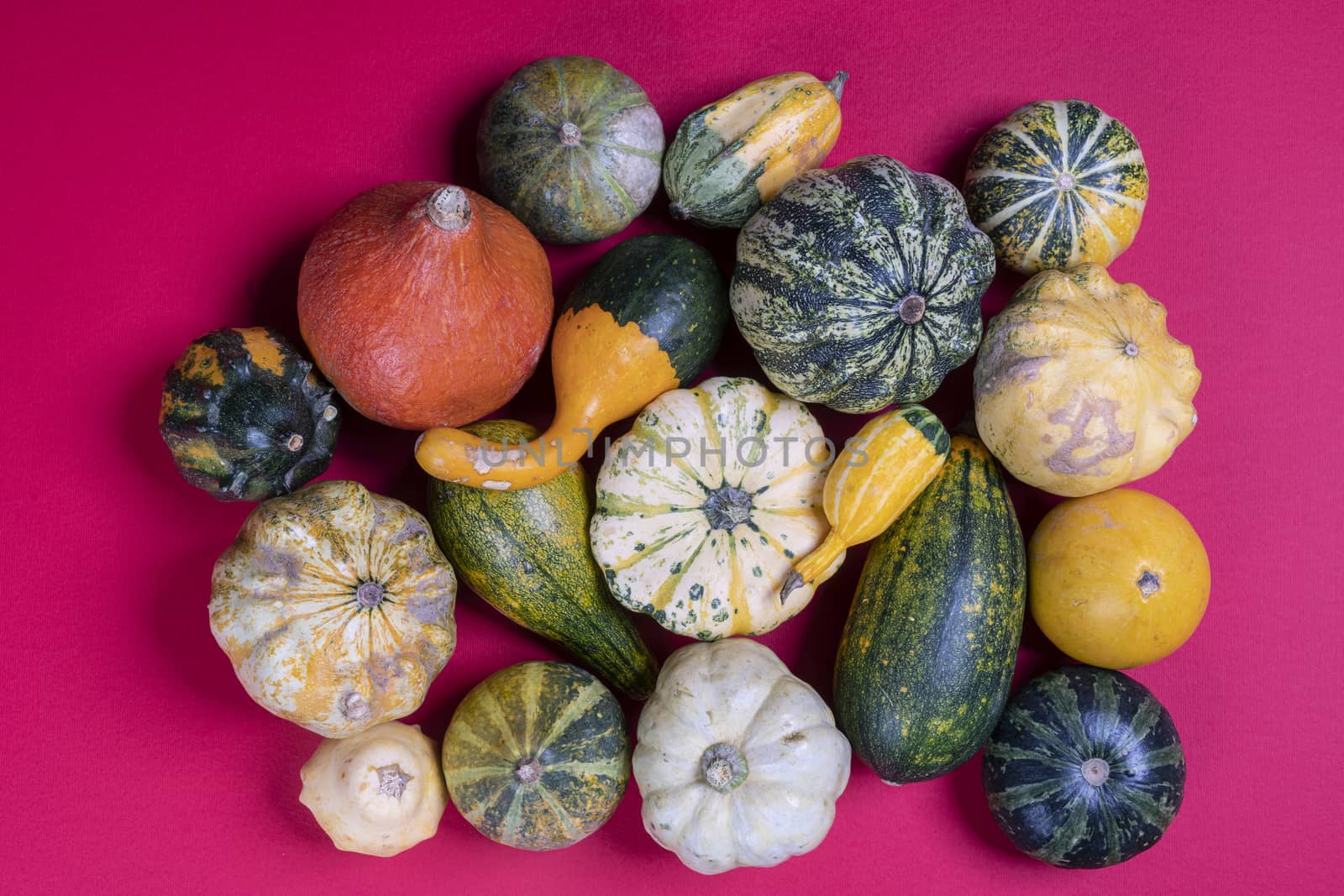 Some small pumpkins on a red surface