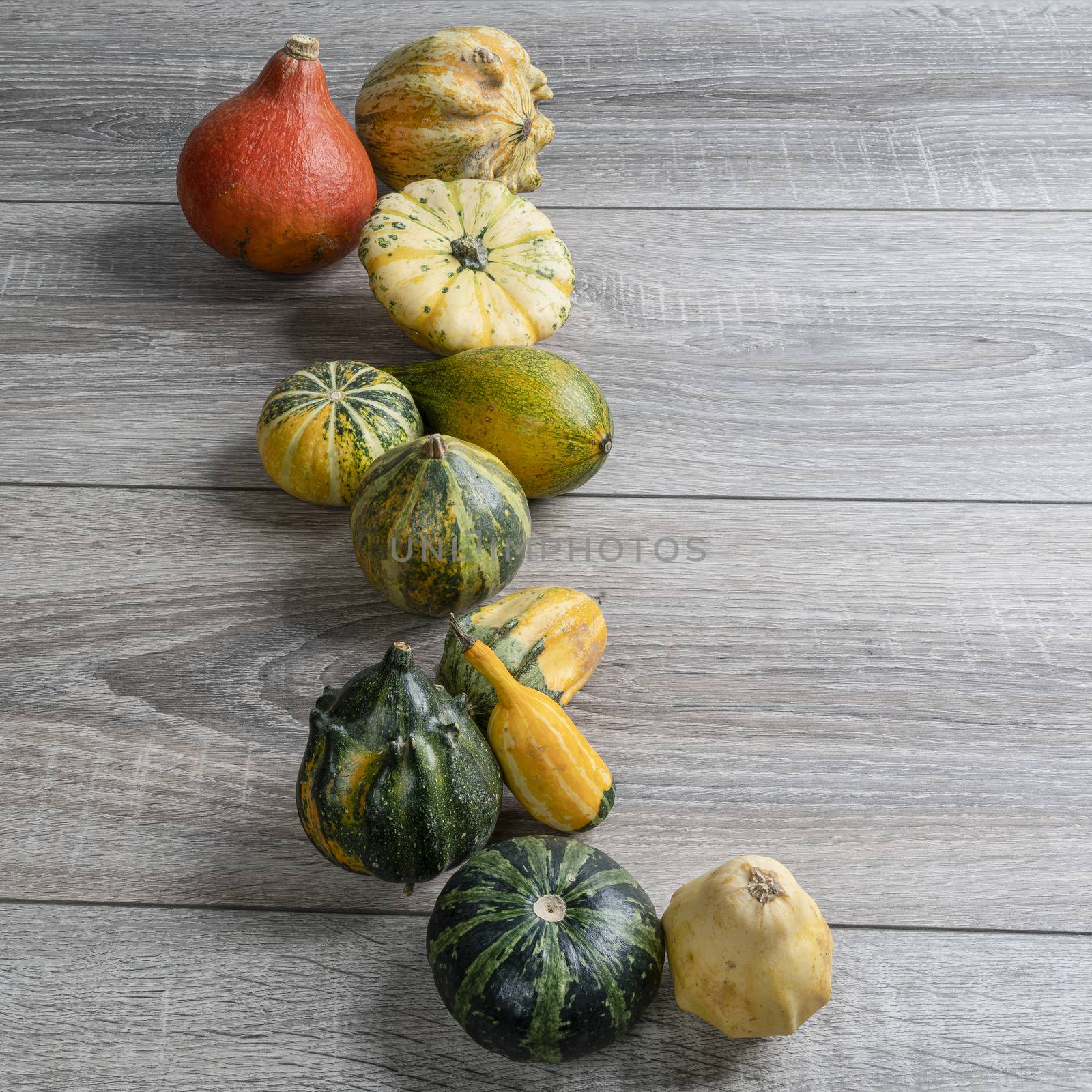 Some small pumpkins on a wooden table in the autumn