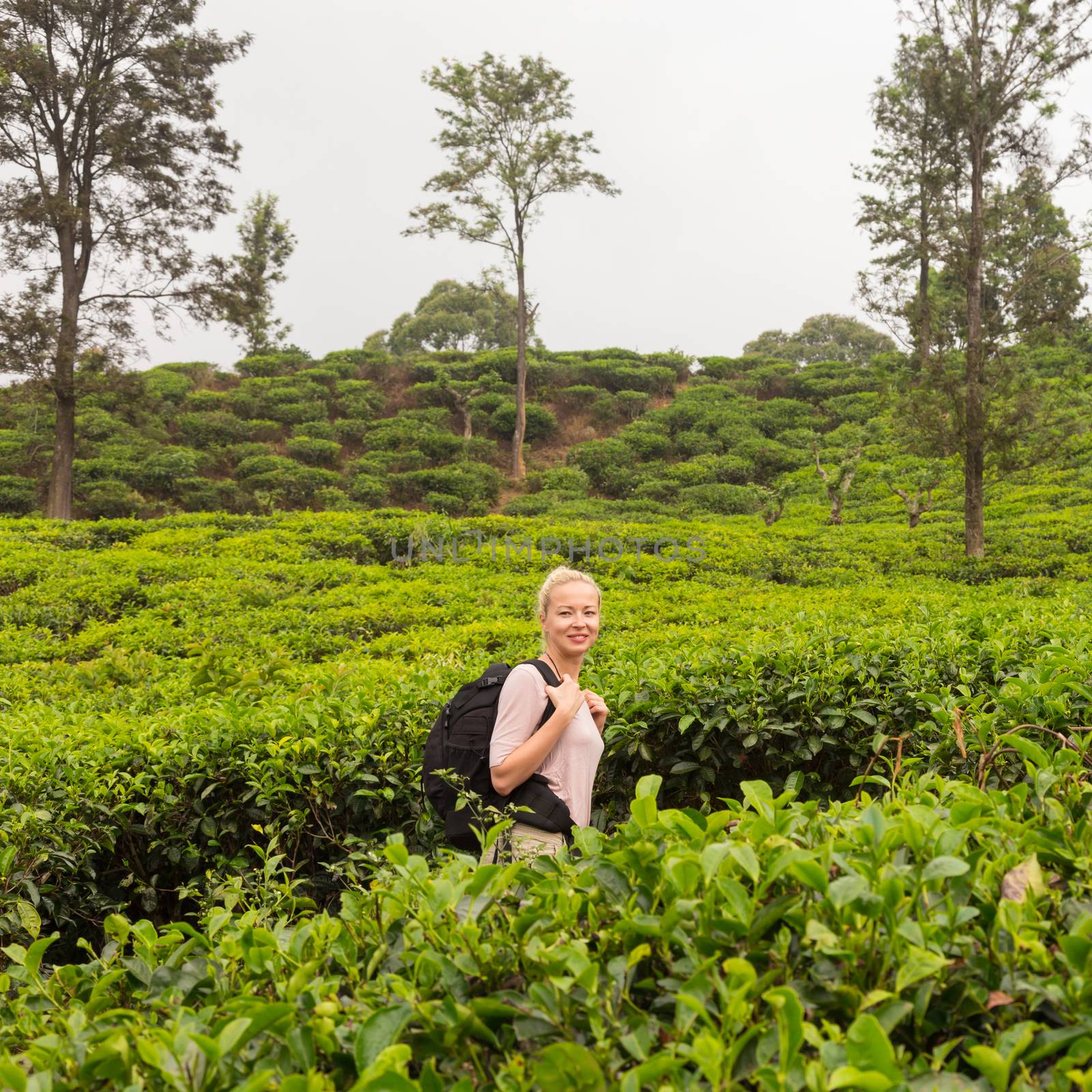 Active caucasian blonde woman enjoing fresh air and pristine nature while tracking among tea plantaitons near Ella, Sri Lanka. Bacpecking outdoors tourist adventure by kasto