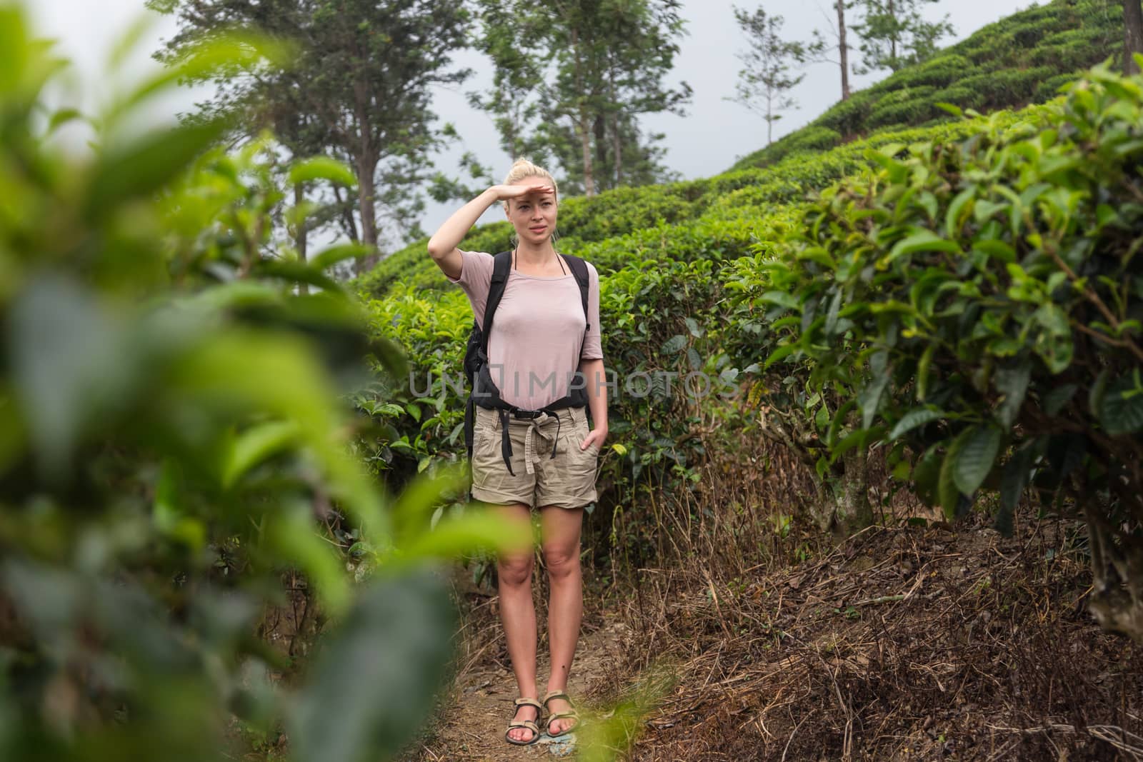 Active caucasian blonde woman enjoing fresh air and pristine nature while tracking among tea plantaitons near Ella, Sri Lanka. Bacpecking outdoors tourist adventure by kasto