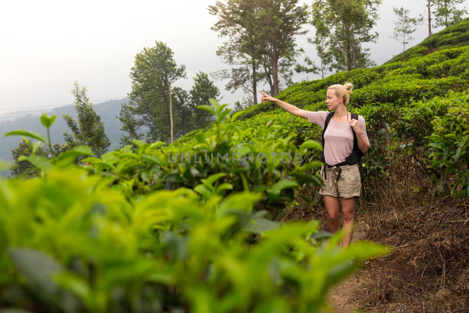 Active caucasian blonde woman enjoing fresh air and pristine nature while tracking among tea plantaitons near Ella, Sri Lanka. Bacpecking outdoors tourist adventure.