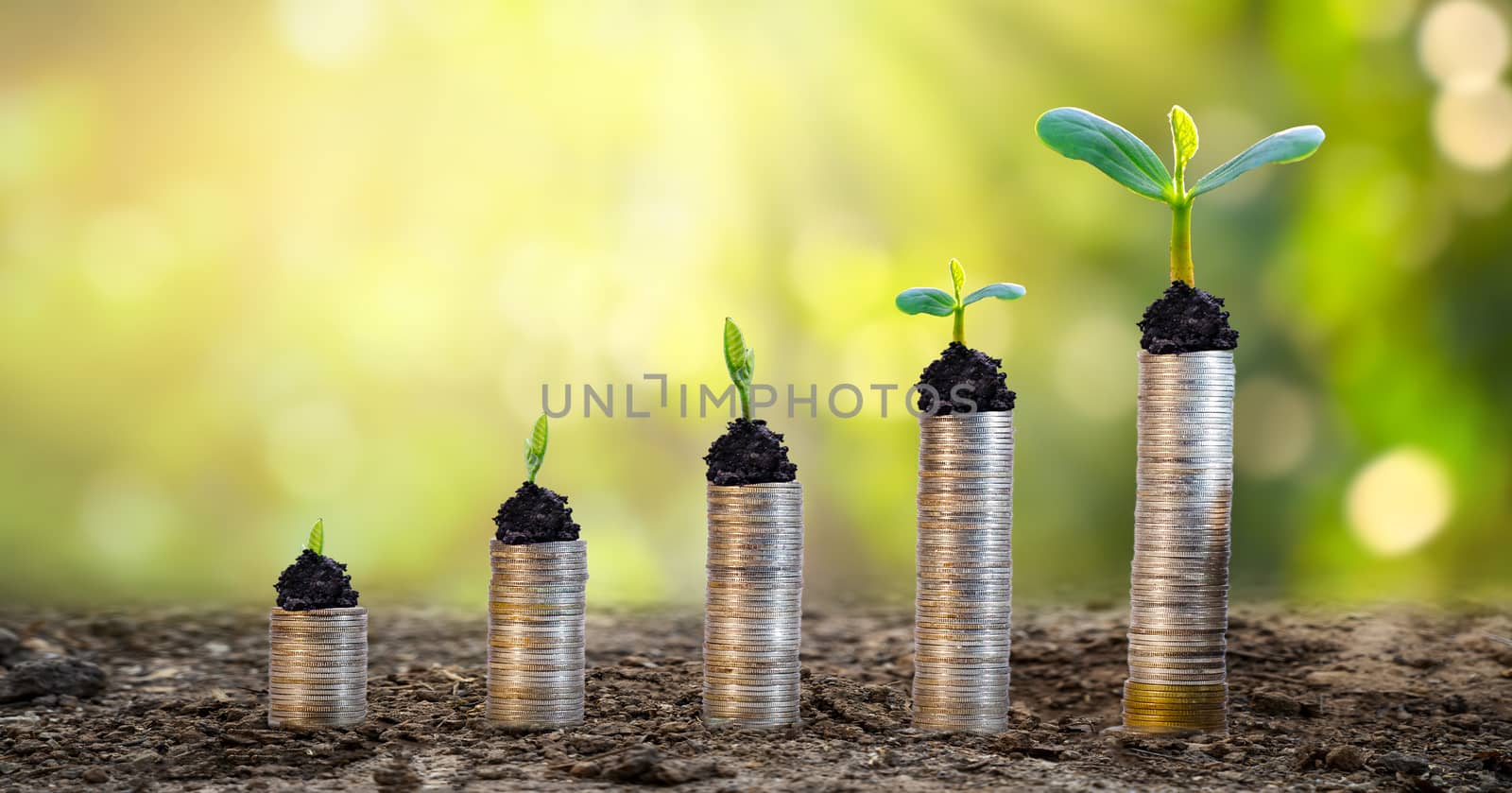 Money growth Saving money. Upper tree coins to shown concept of growing business