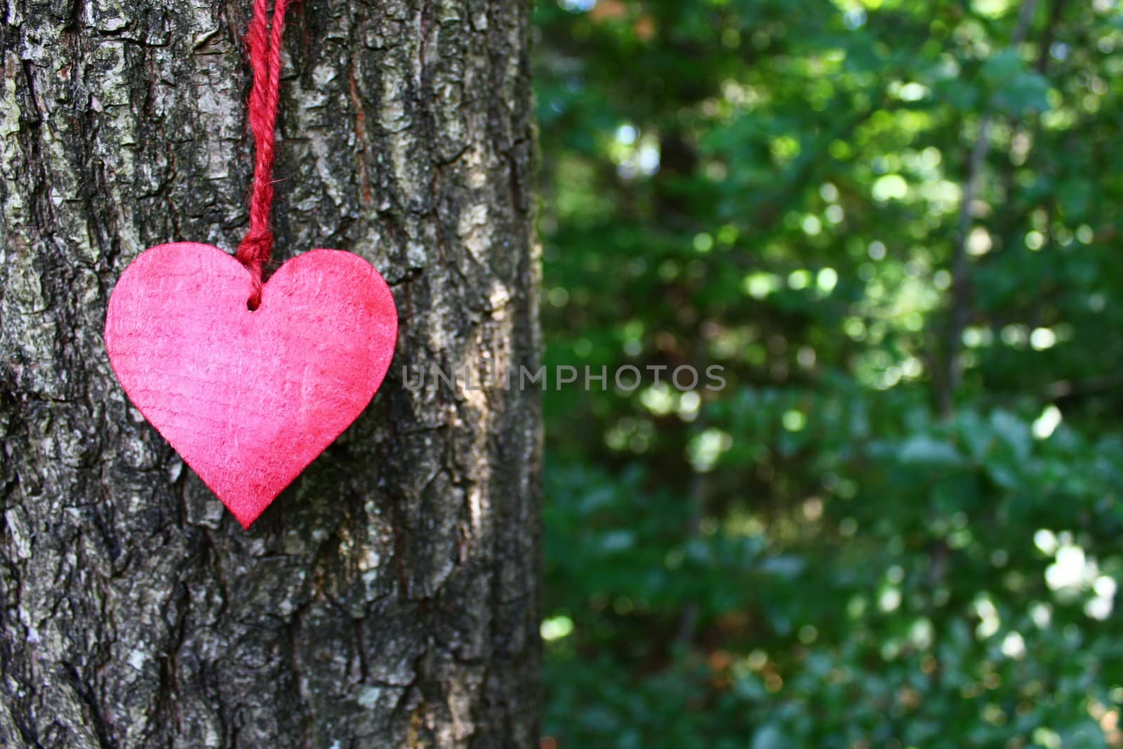 red heart on a tree by martina_unbehauen