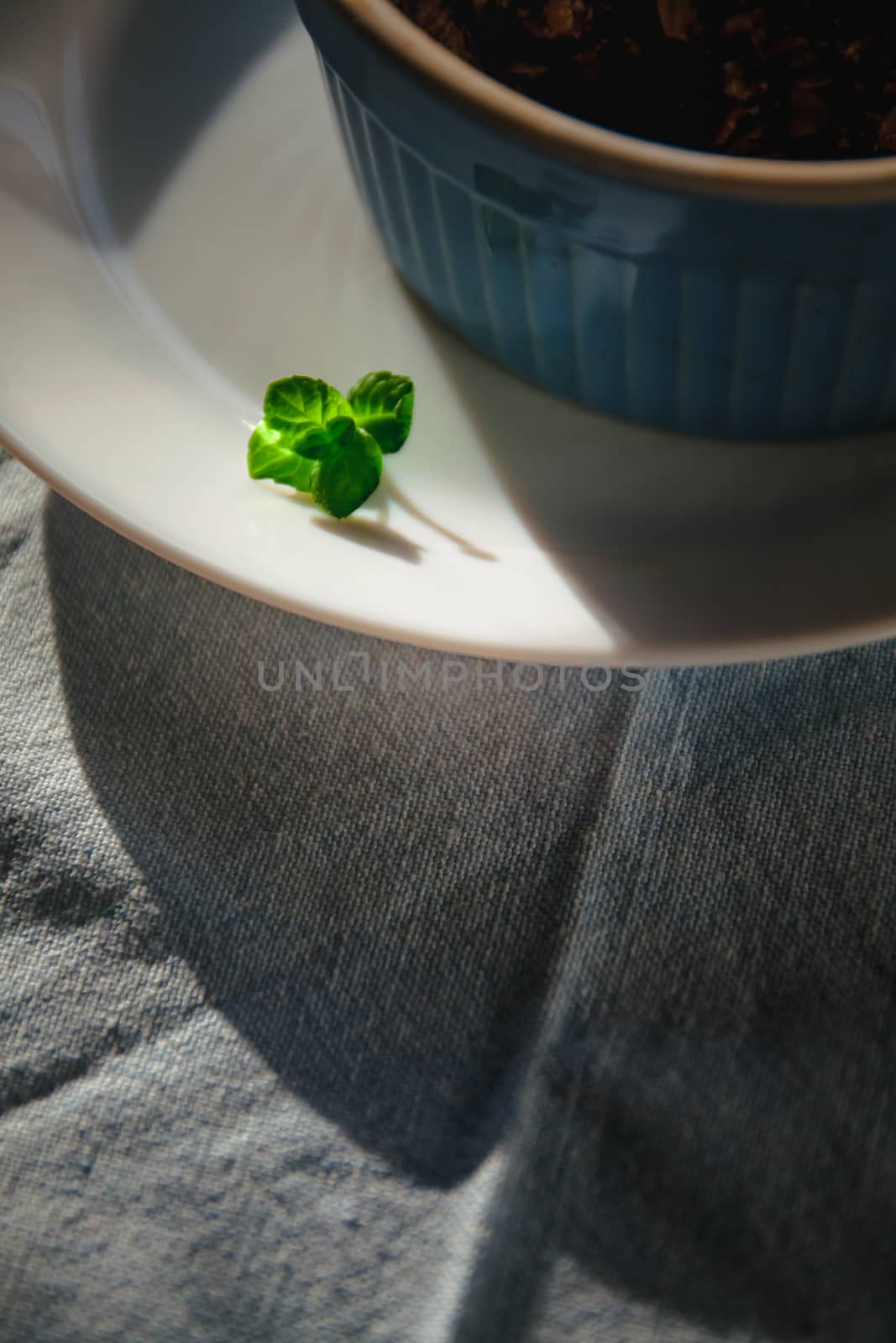 baked oat-blueberry crumble with mint in a white and blue plate on a rustic linen tablecloth. Save the space, top view. The concept of healthy proper nutrition for breakfast, vegetarianism. by Tanacha