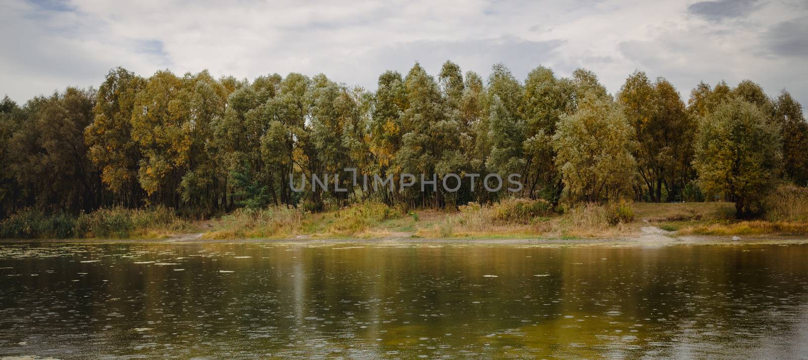 Rain and overcast sky over misty fall woodland. Orange autumn trees on riverbank and lake. Golden Autumn Landscape. Colorful trees in forest