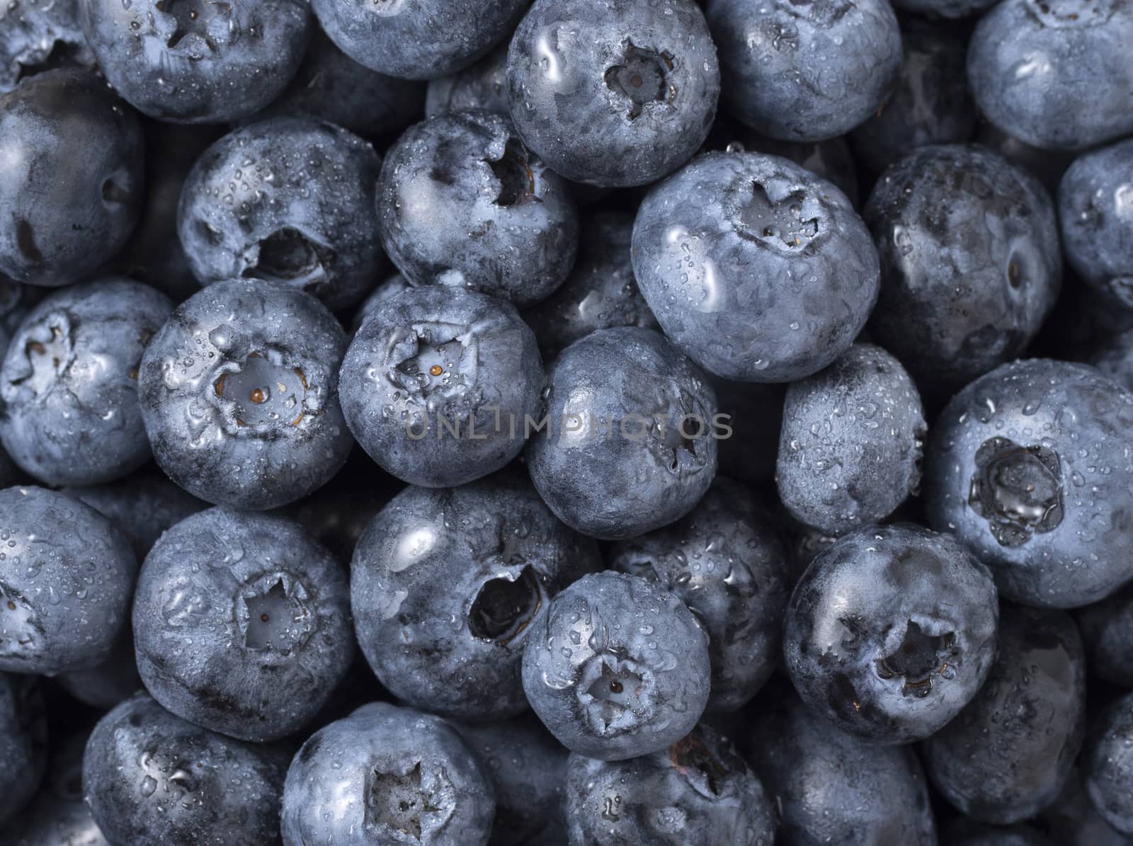Blueberries fruit background. Water drops on ripe sweet blueberry. Top view.