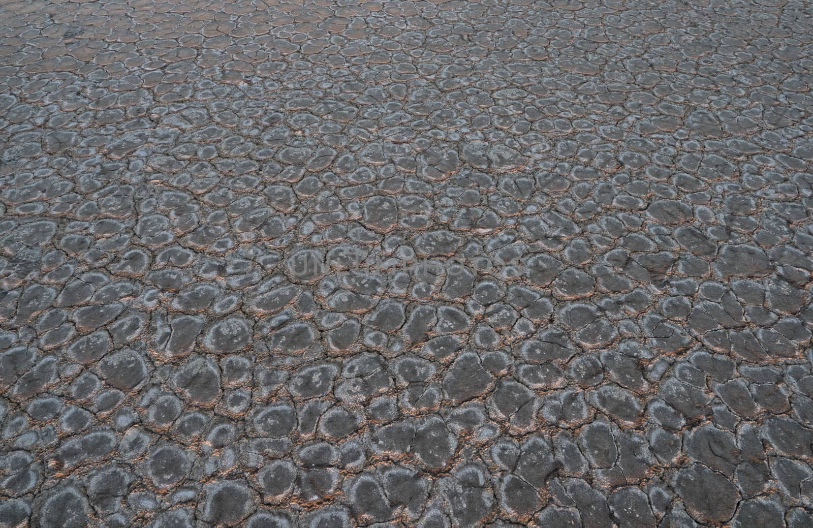 Salt marshes near lake Baskunchak. Astrakhan region, Russia. close up view of cracked ground.