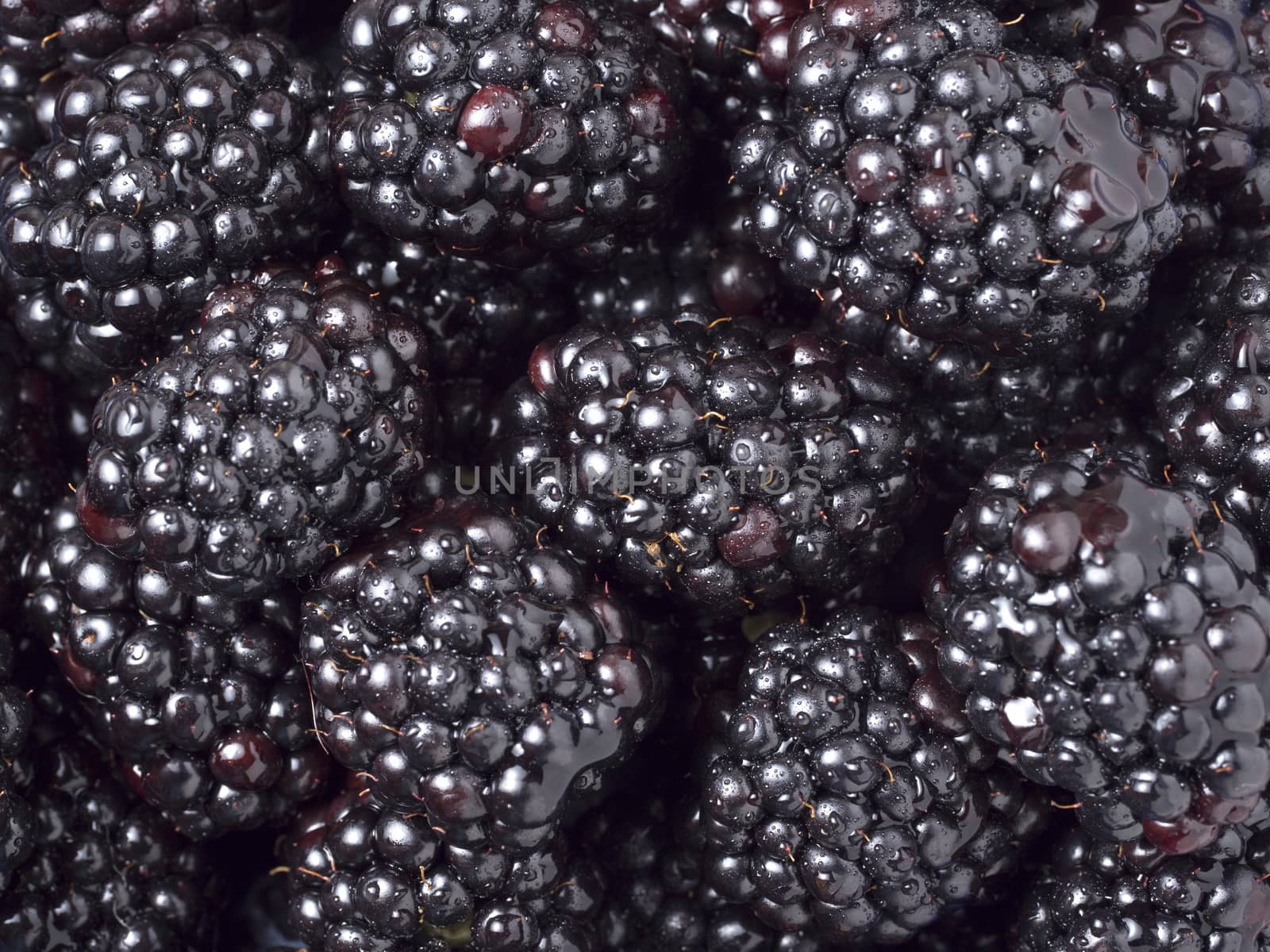 Ripe fresh blackberries as background. Close up view.
