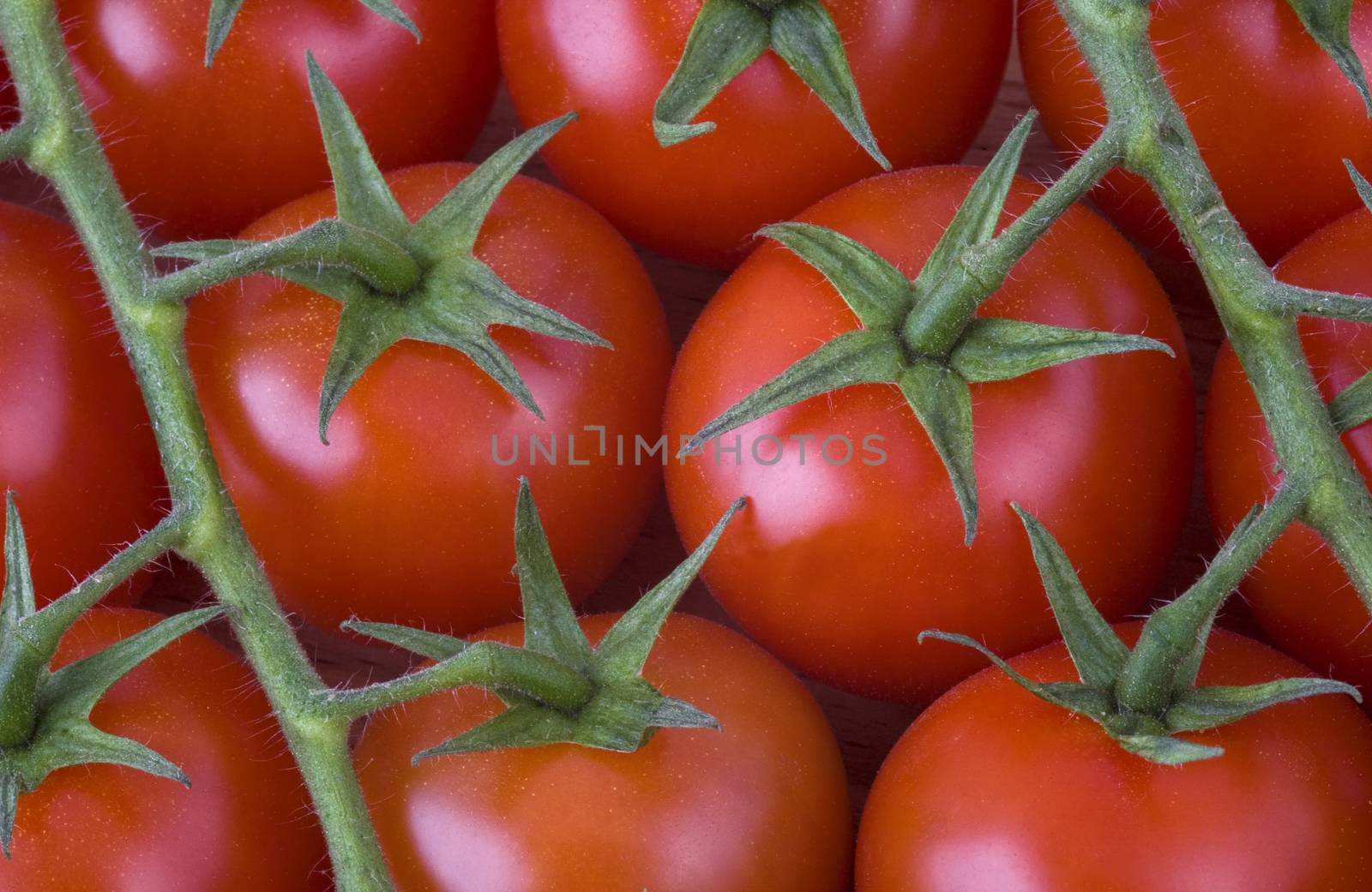 red cherry tomatoes on the vine