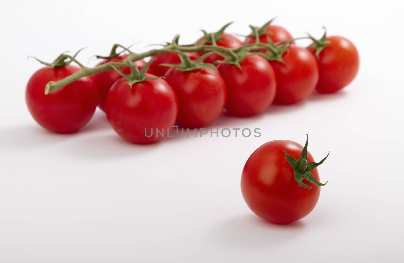 ripe cherry tomatoes on a branch, isolated on white.