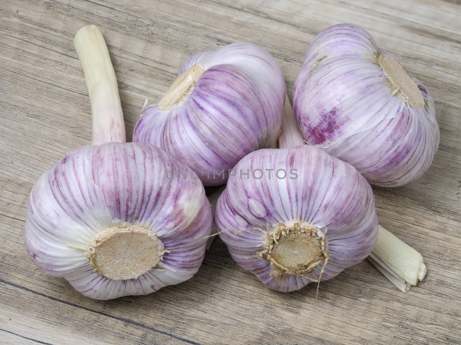 Fresh ripe garlic on wooden background. Close up view.