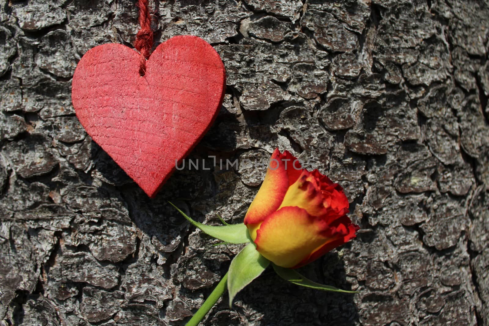 The picture shows a red heart and a rose.