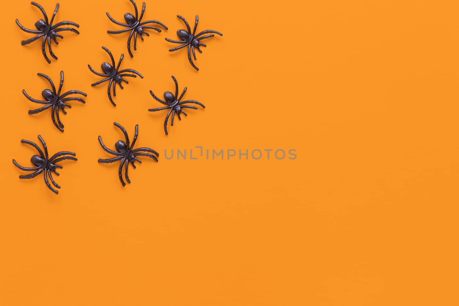 Halloween flat lay. Black spiders on orange background with copy space. Minimal style. Horizontal. Trick-or-treat concept by ALLUNEED