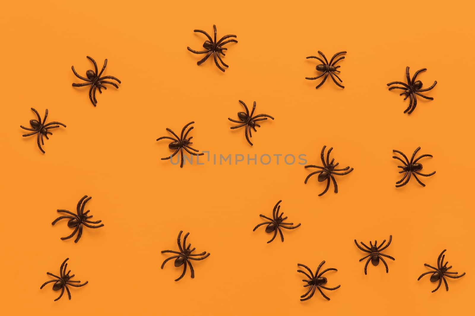 Halloween flat lay. Pattern from black spiders on orange background. Minimal style. Horizontal. Trick-or-treat concept.