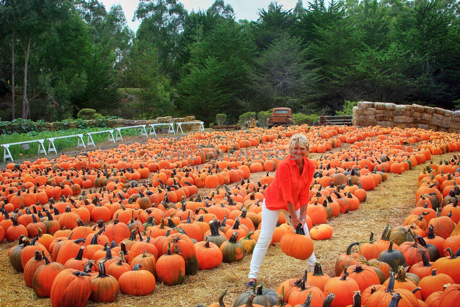 cheerful woman with pumpkin on a farm by friday