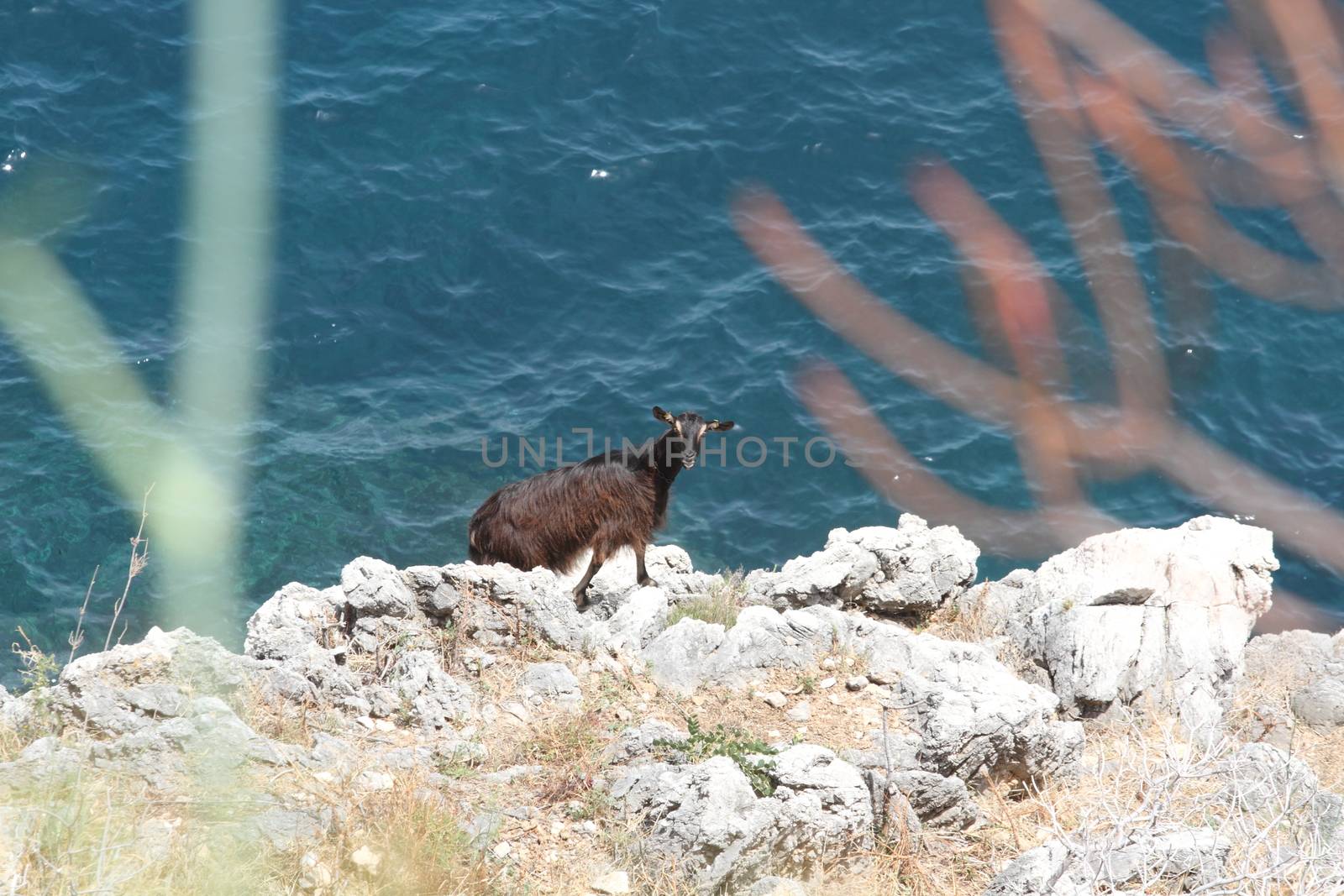 Castellammare del Golfo, San Vito Lo Capo - June 30th 2016: The Zingaro Nature Reserve, an Italian protected natural area managed by the Regional State Forestry Company of the Sicilian Region