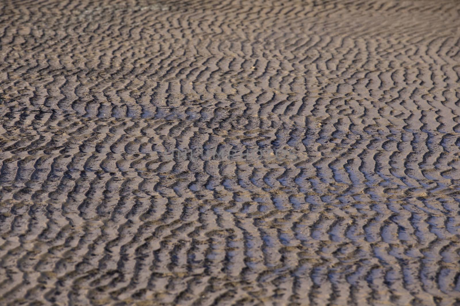 Sandy wave of the sea at low tide, Wavy curves pattern of sand beach, Texture background
