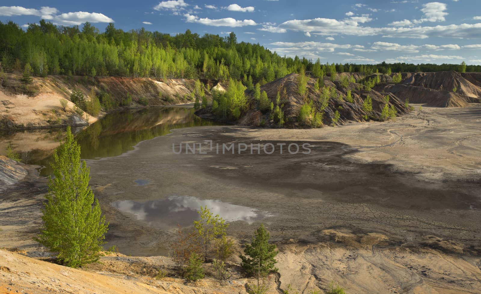 Spring Forest Around a Lake on Sunny Day. Fresh Green Leaves on Trees.