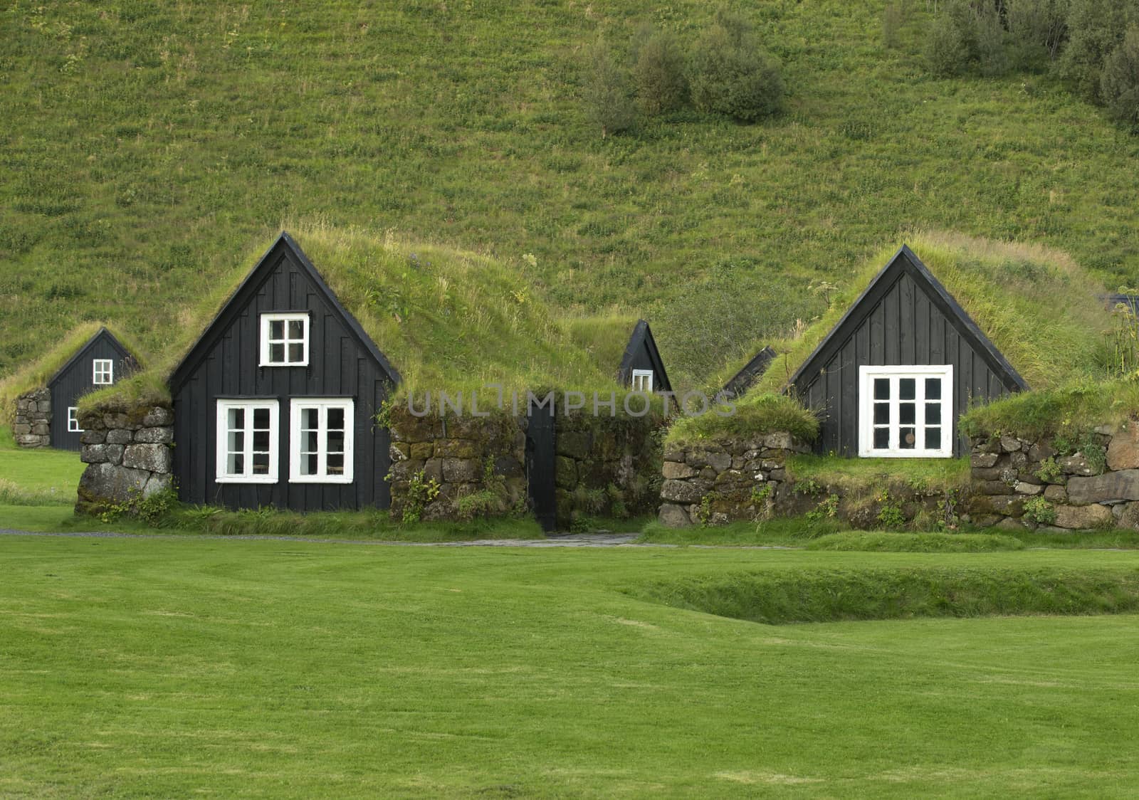 Tipical icelandic houses with roofs covered by ground and grass.