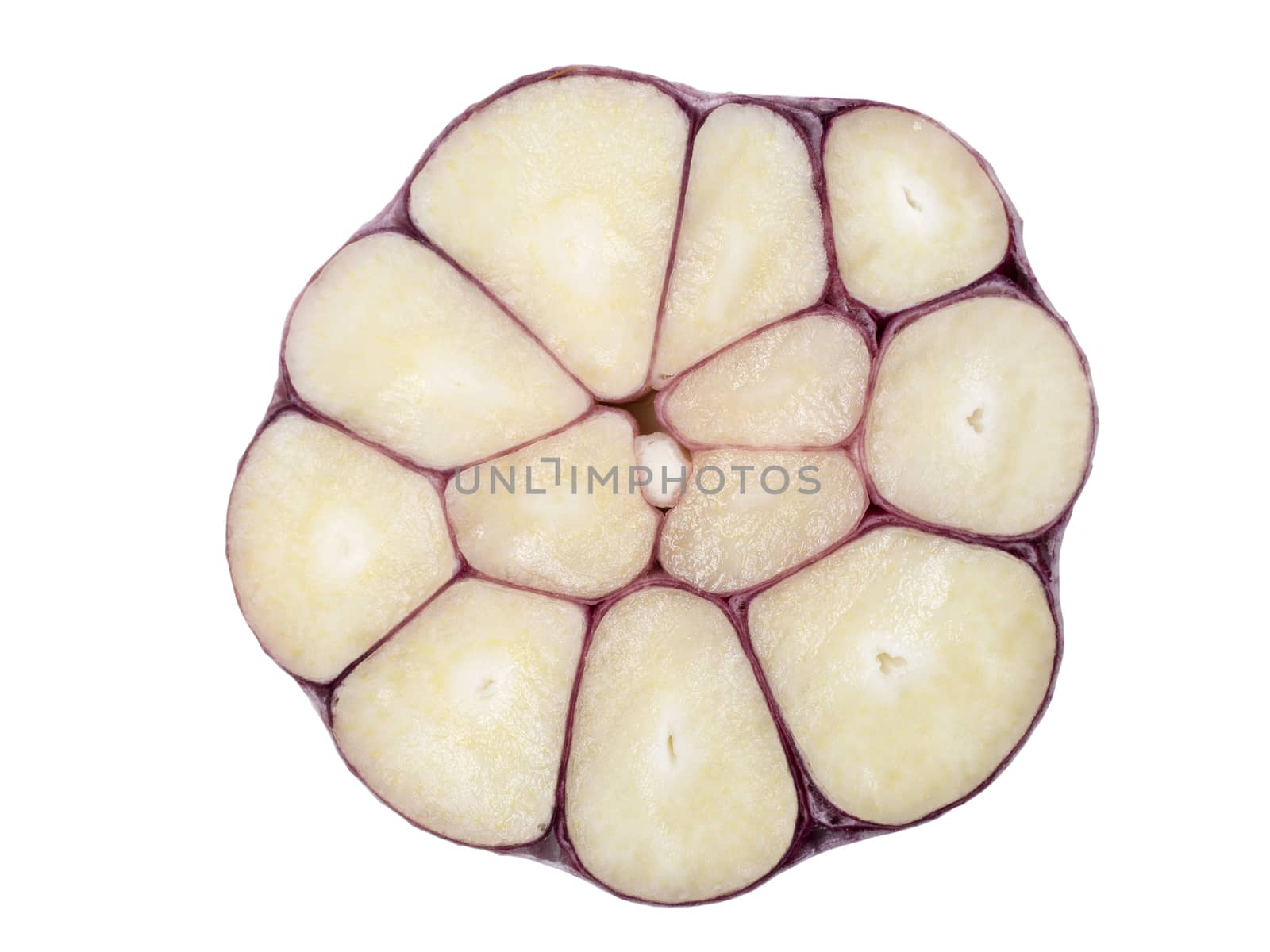 Raw garlic slice close-up isolated on white background. Top view.