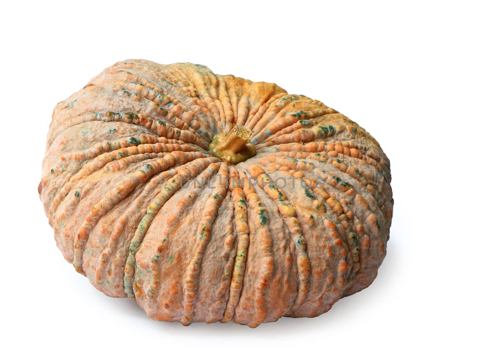 Pumpkin isolated on white background, clipping path.