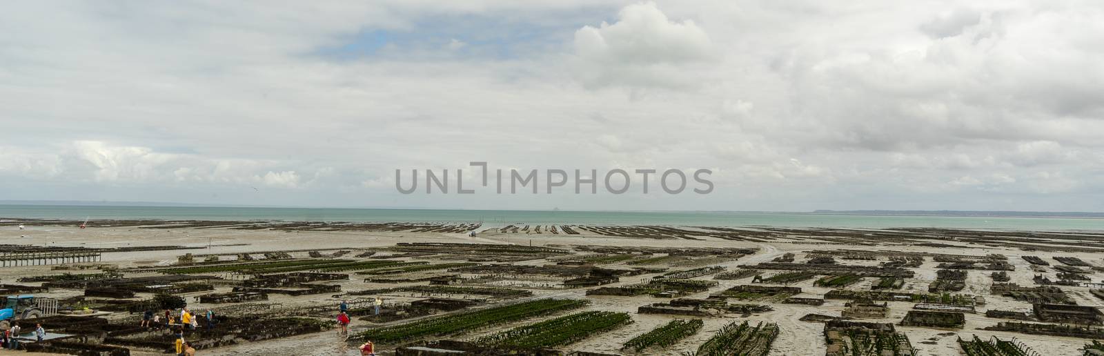 Cancale oysters town low tide by javax