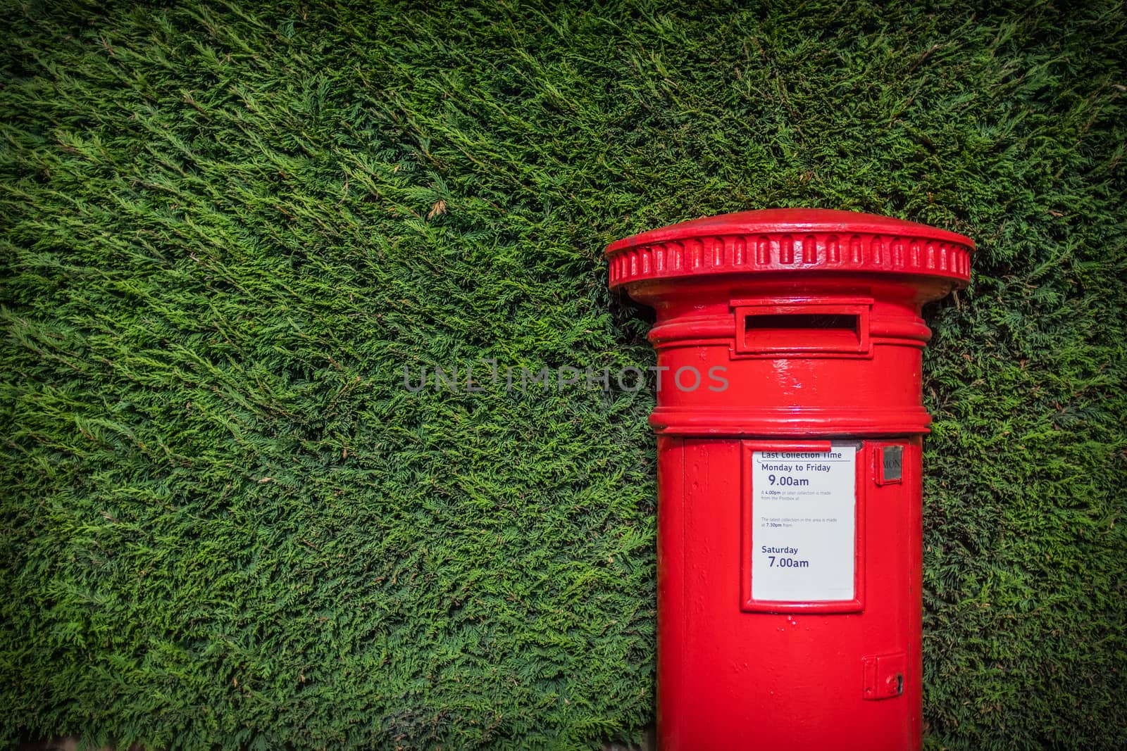 Classic Red British Pillar Box Against Hedge by mrdoomits