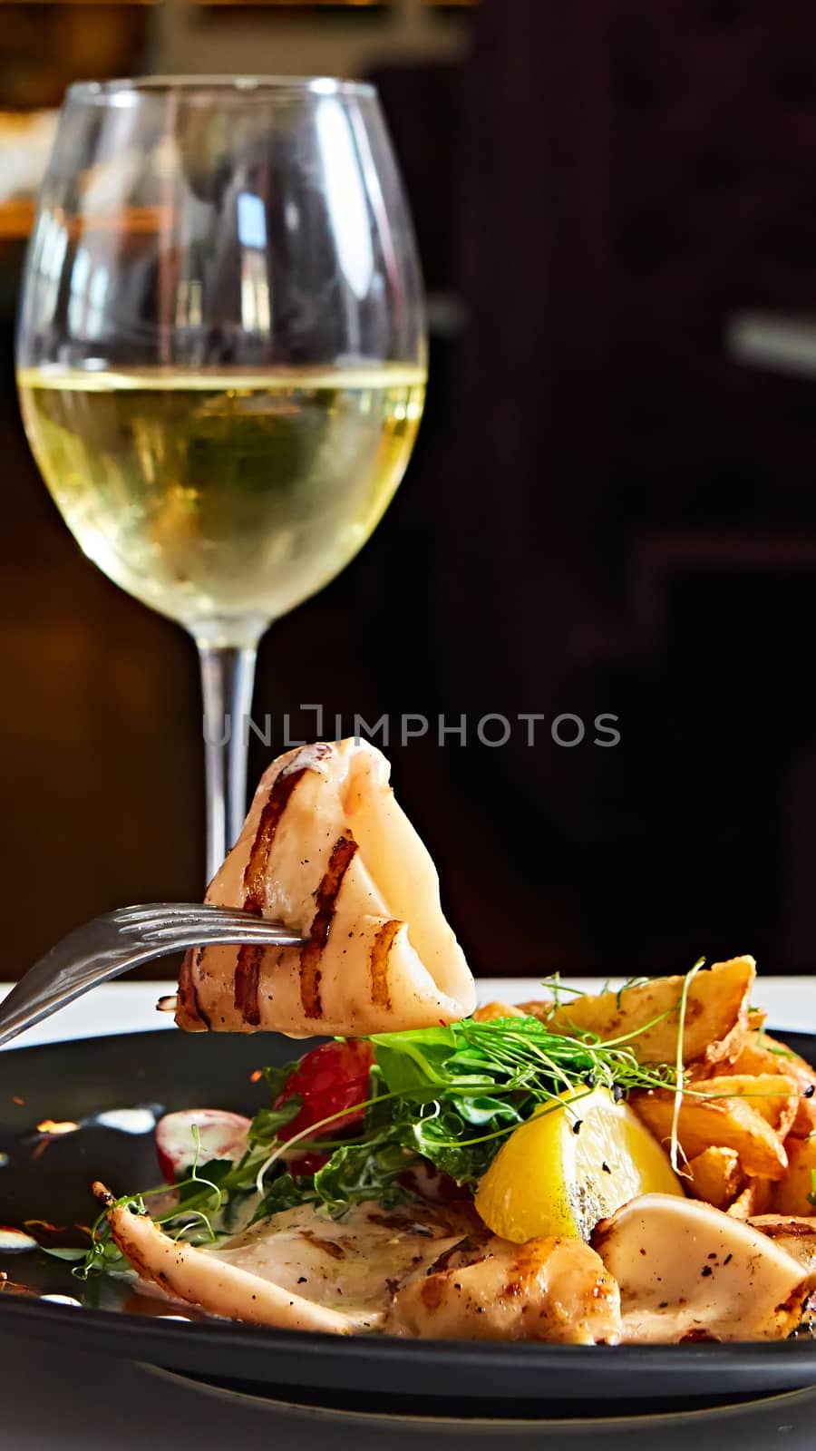 Grilled squid with salad. Shallow dof