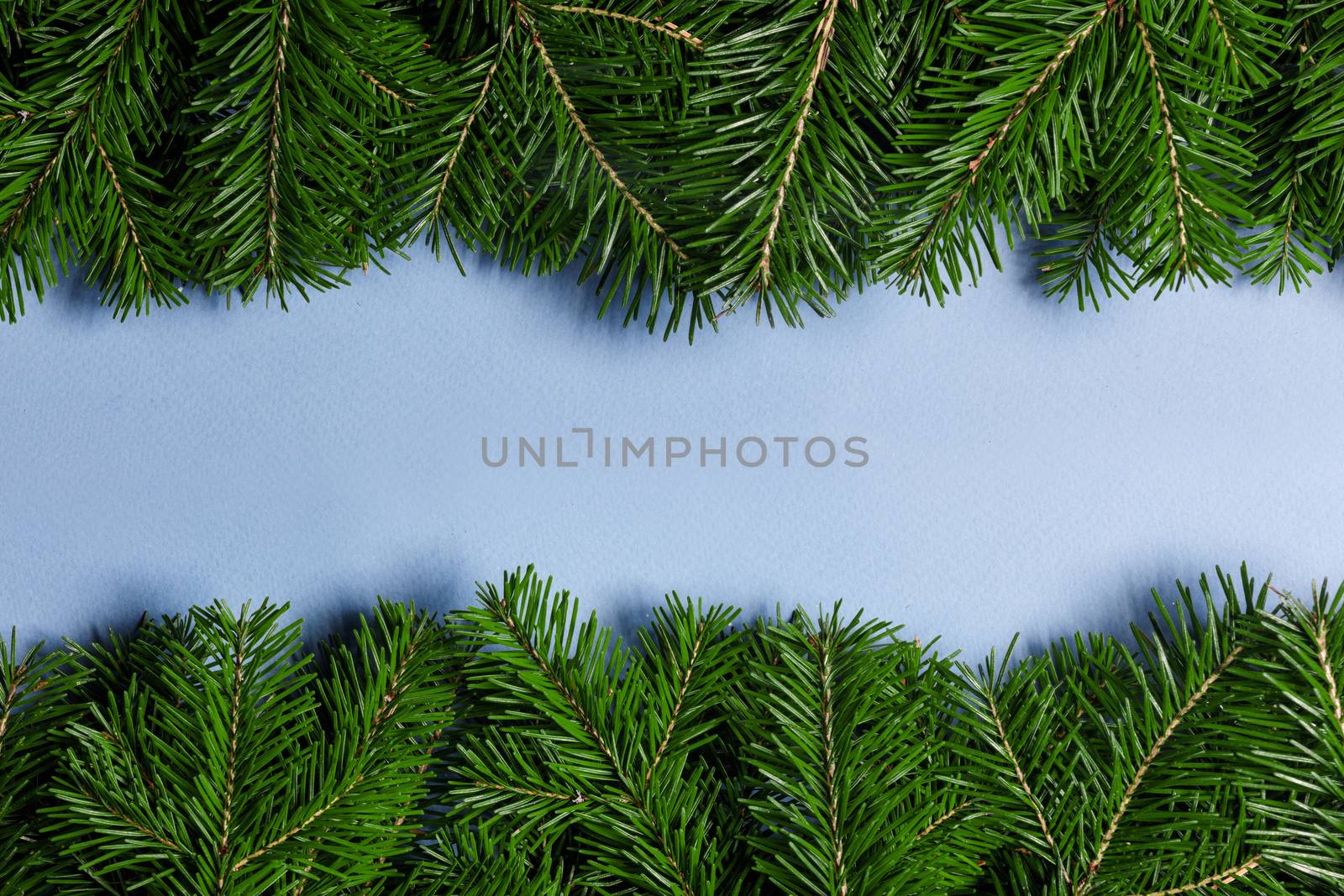 Natural fir Christmas tree border frame on blue, copy space for text