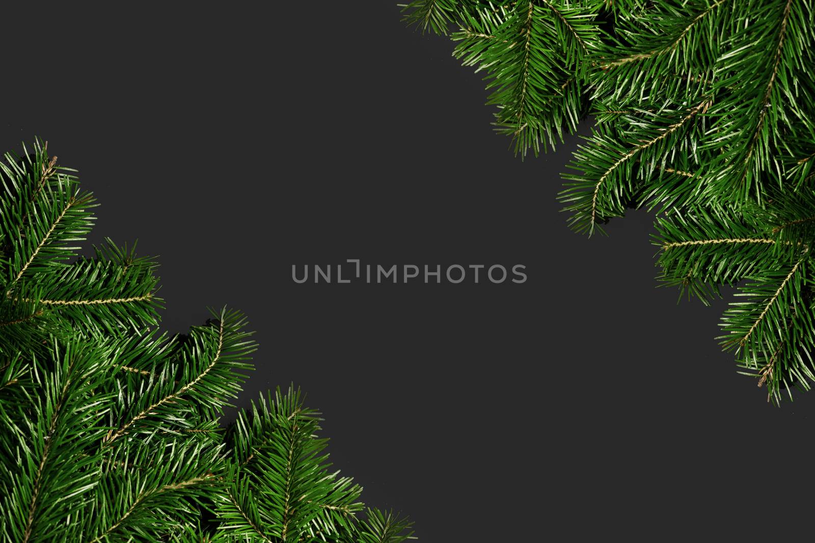 Pine Christmas tree branches on black paper background flat lay top view mock-up