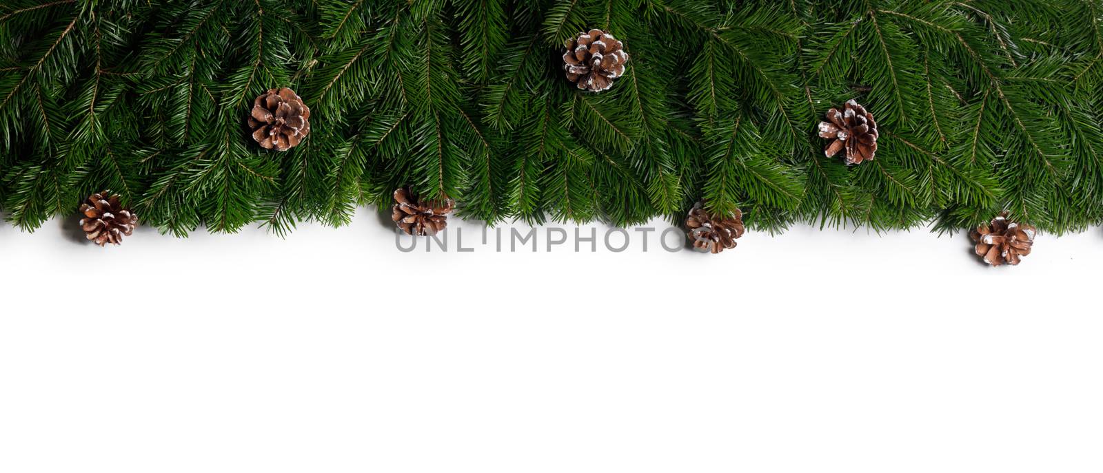Natural fir Christmas tree border frame isolated on white , copy space for text