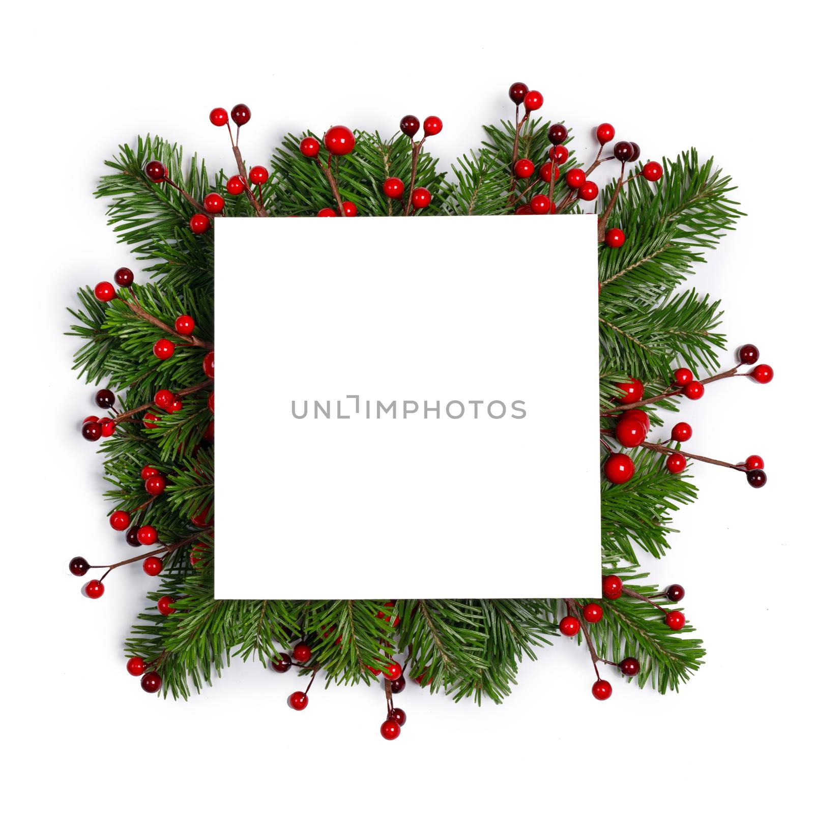 Christmas Border frame of tree branches and red berries on white background with copy space isolated