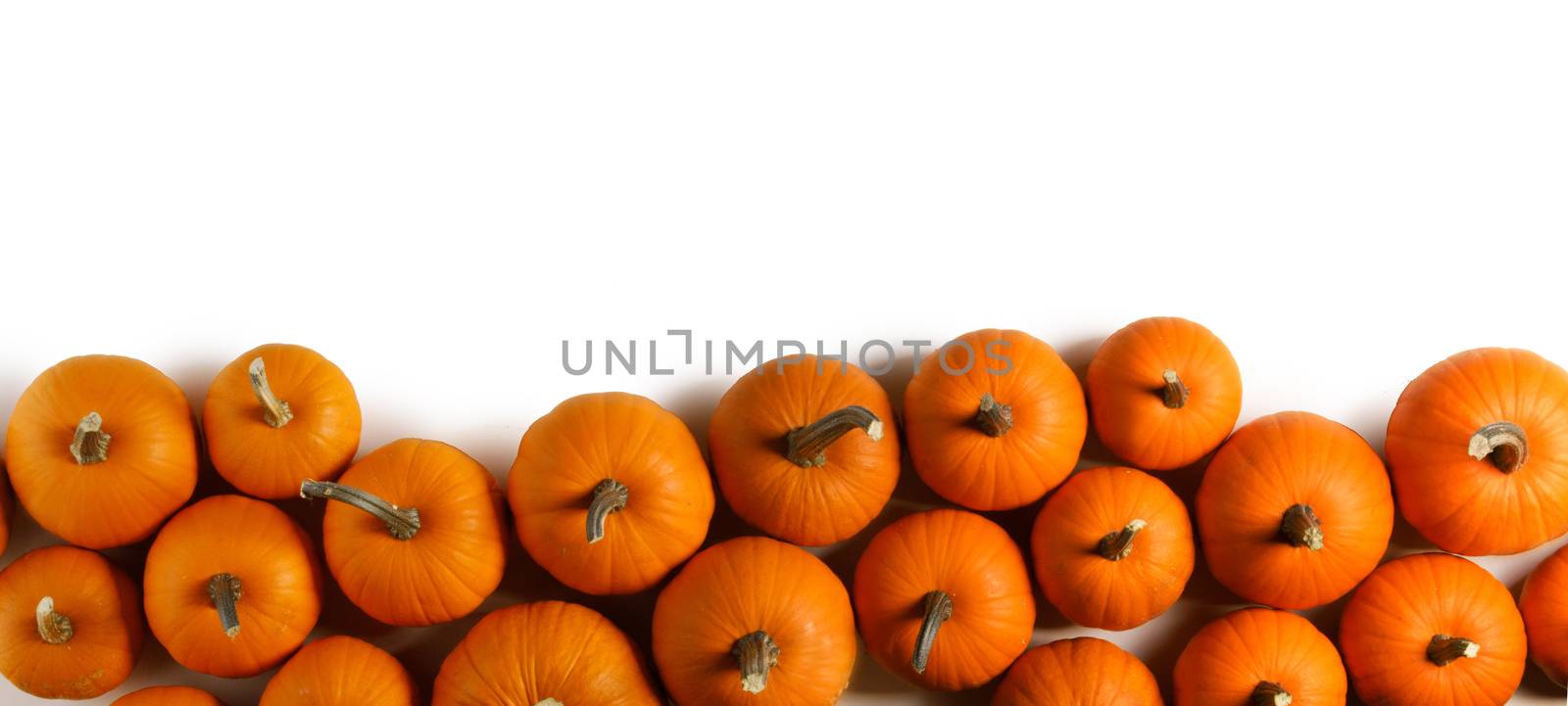 Heap of orange pumpkins by Yellowj