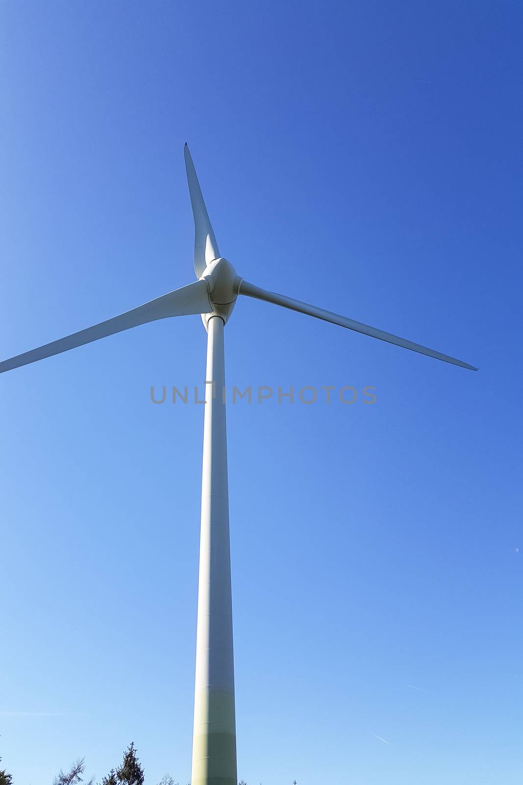 Wind turbine generating electricity in Holland, photographed from below.